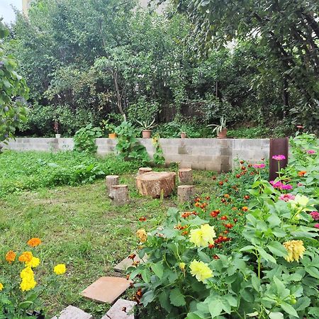 Sunny Lodge Dilijan Exterior foto