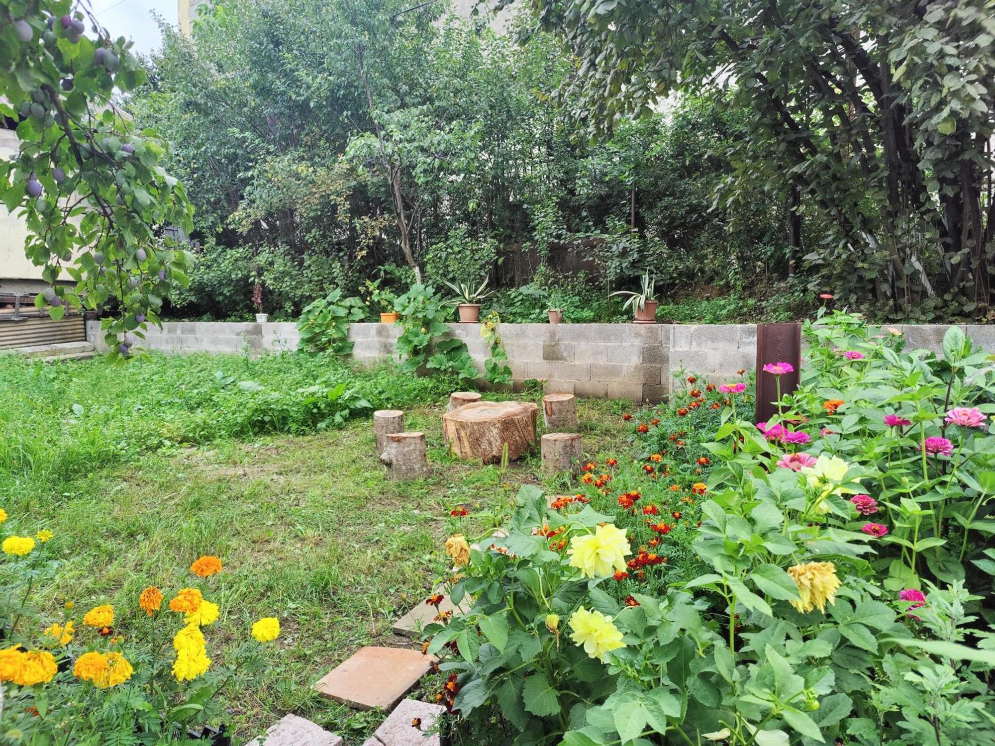 Sunny Lodge Dilijan Exterior foto